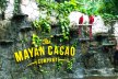 Mayan Cacao Co1